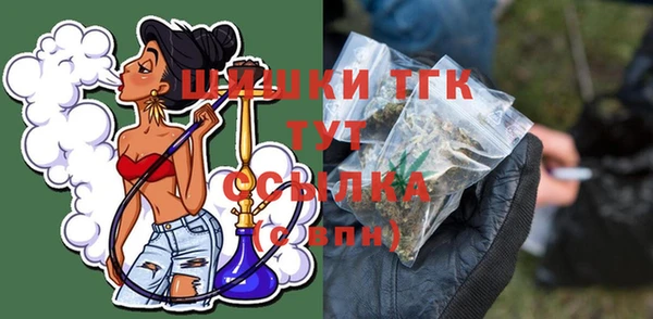 крисы Абаза