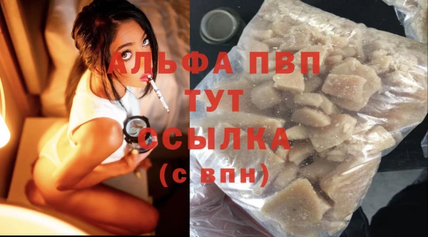 крисы Абаза