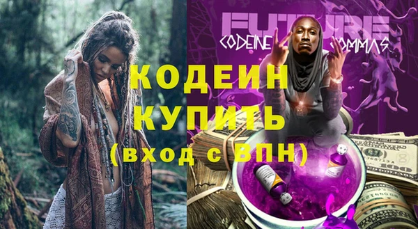 крисы Абаза