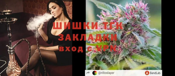 крисы Абаза
