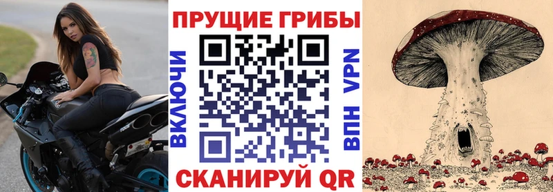 купить   площадка официальный сайт  Галлюциногенные грибы Cubensis  Иваново 
